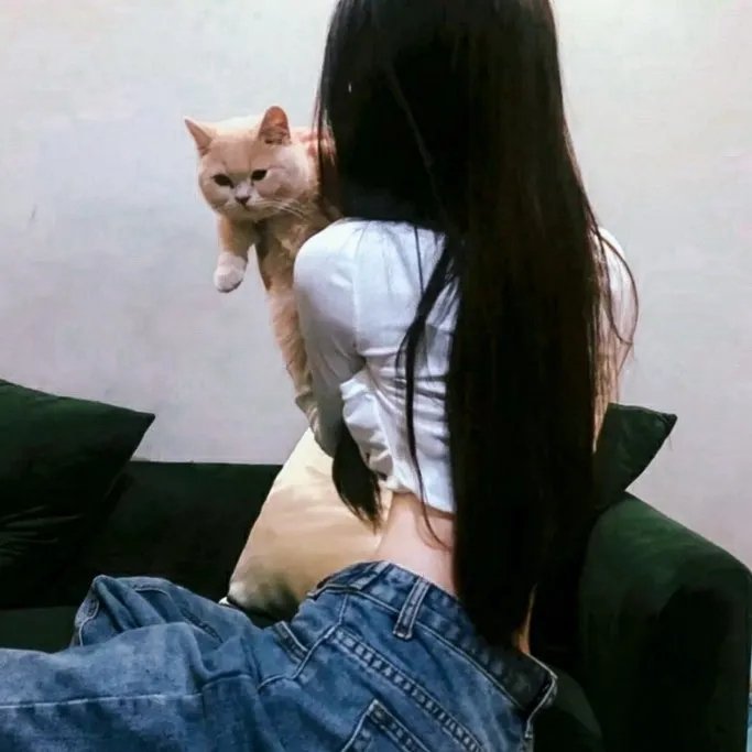 运动高飞狗
